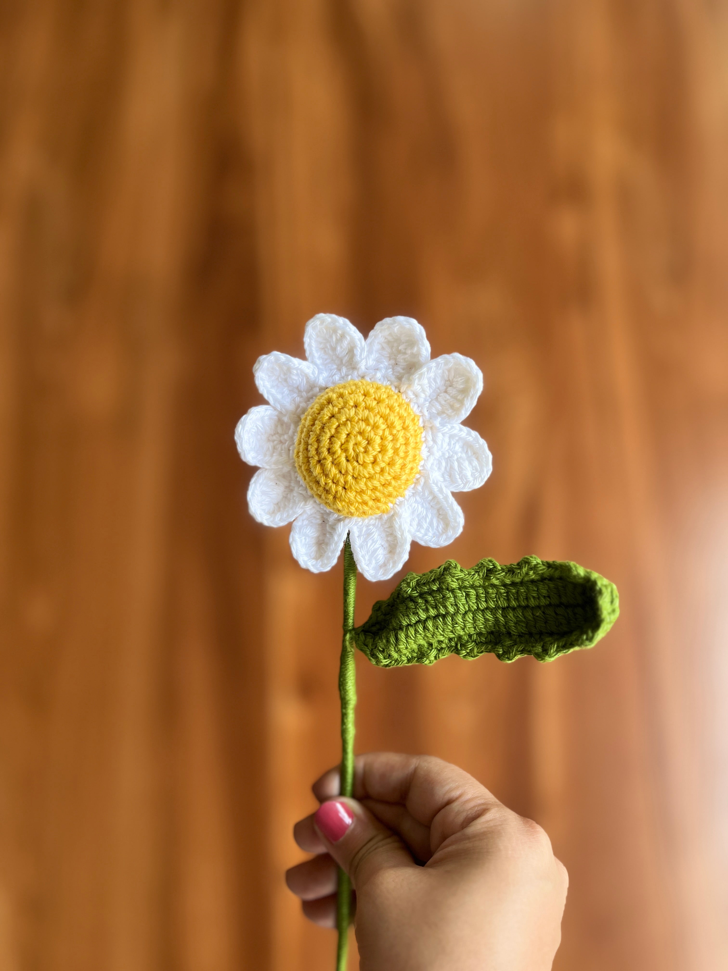 Dreamy Daisy