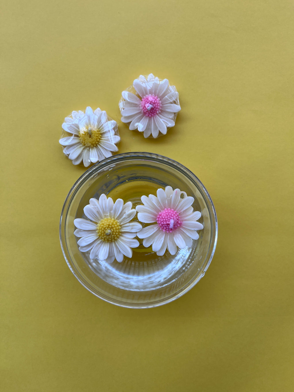Floating Daisy Candle