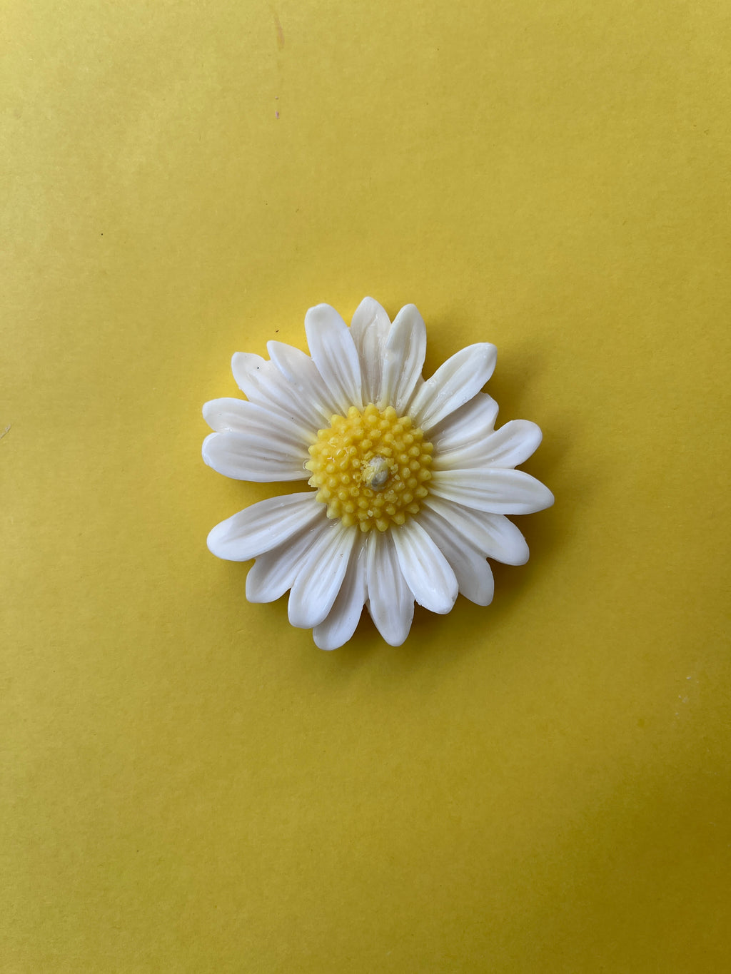 Floating Daisy Candle